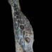 filefish_slender_lr_gc_v_0024_cay3912.jpg